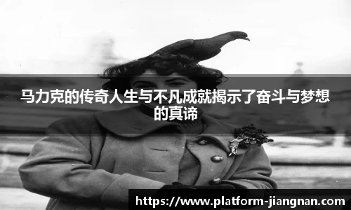 江南体育官网