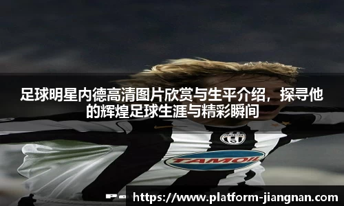 足球明星内德高清图片欣赏与生平介绍，探寻他的辉煌足球生涯与精彩瞬间